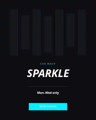 SPARKLE SPECIAL — Local Business Flyers advertising template