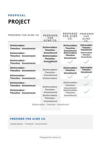 PROJECT SCOPE — Proposals & Pricing business template