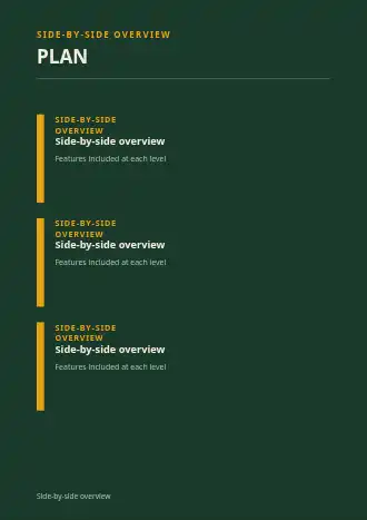 PLAN OPTIONS — Proposals & Pricing business template