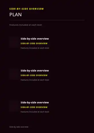 PLAN OPTIONS — Proposals & Pricing business template