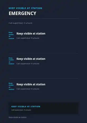EMERGENCY STEPS — SOPs & Process business template