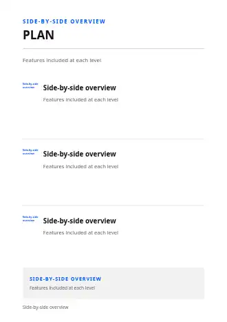 PLAN OPTIONS — Proposals & Pricing business template