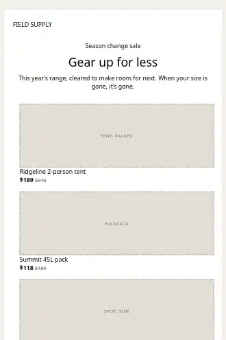 FIELD SUPPLY — Big Sale — Promotions & Sales template
