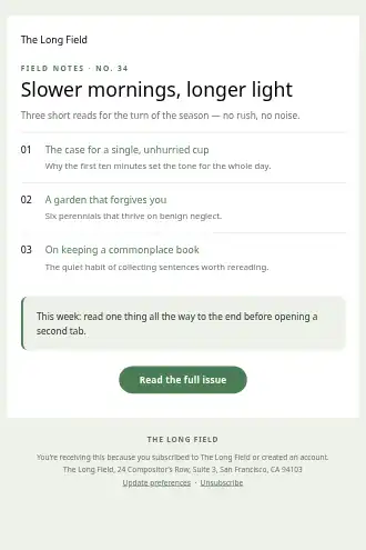 The Long Field — Newsletter — Newsletters & Digests template