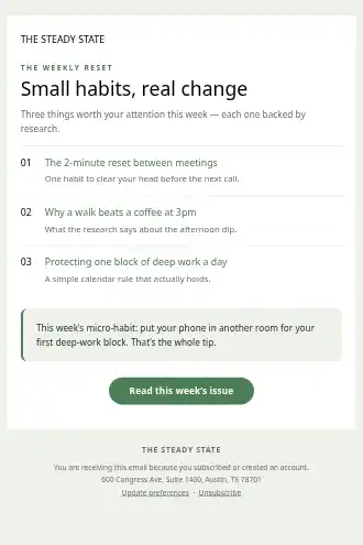 THE STEADY STATE — Newsletter / Digest — Newsletters & Digests html5 email template