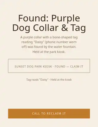 Found: Purple Dog Collar & Tag — Lost & Found template
