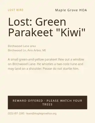 Lost: Green Parakeet "Kiwi" — Lost & Found flyer template