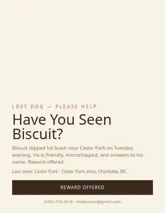 Have You Seen Biscuit? — Lost & Found flyer template