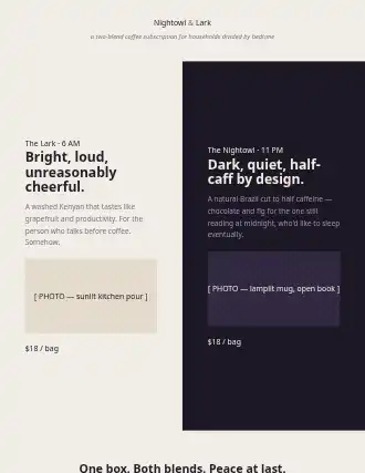 Nightowl & Lark — duotone-split landing — Subscription html5 landing page template