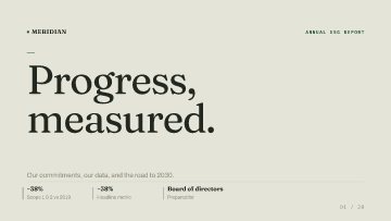 Meridian Group — Board of directors — Board of directors template