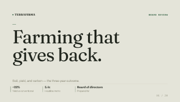 TerraFirma — Board of directors — Board of directors pitch deck template