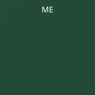 ME EXPLAINING THE BUG — Memes & Viral template