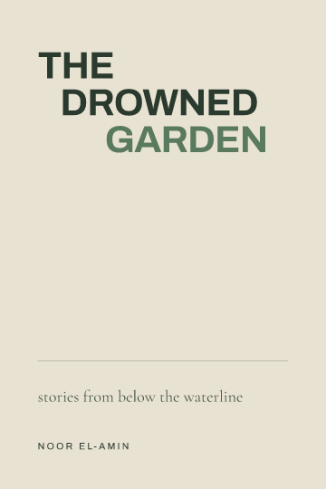 The Drowned Garden — Fiction & Literary book cover template